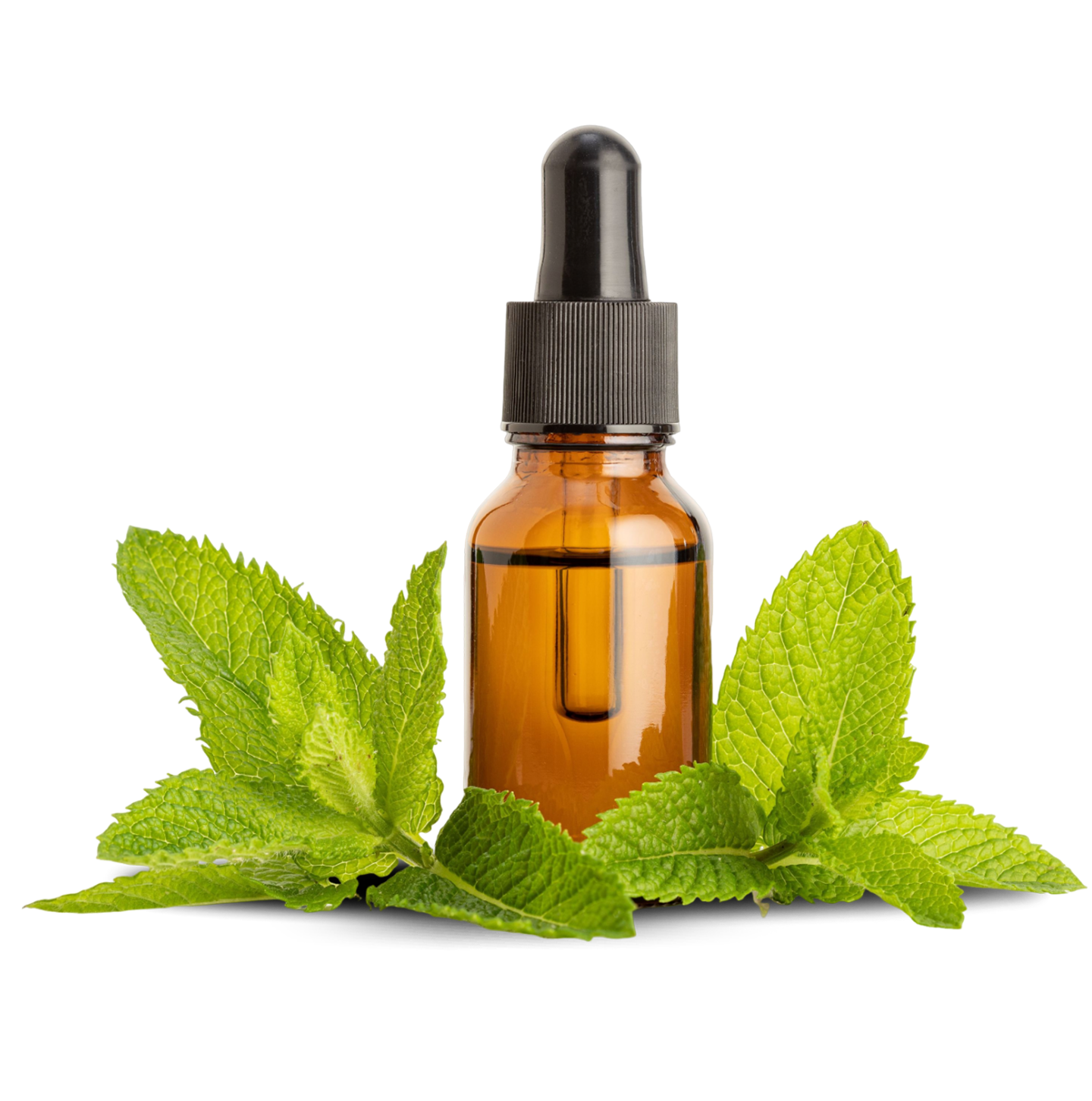 Essential oil bottle surrounded by mint